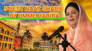 UMM E HABIBA 5 BEST NAAT SHAREEF #UMMEHABIBA #zafrullah6393official  #video #viralvideos #naat
