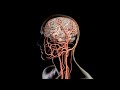 How to pull a clot from the brain | Science News