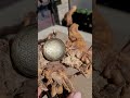 ゴールデンオブシディアンフラワーオブライフgolden obsidian flower of life