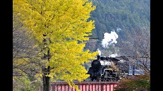 SLかわね路号（秋の大井川第一橋梁）