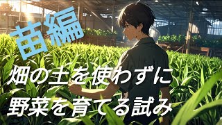 2024/6/7　どんな畑の土でも野菜が作れる方法を探る試み（苗の植え替え編）