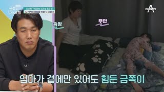 극과 극! 아파서 모든 게 귀찮은 금쪽이와 곁에서 뭐든 해주고 싶은 엄마 | 요즘 육아 금쪽같은 내새끼 71 회