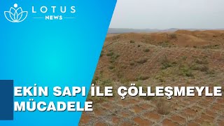 EKİN SAPI İLE ÇÖLLEŞMEYLE MÜCADELE