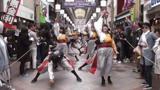 よさ朗　京都さくらよさこい　２日目　三条名店街商店街会場