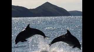 Costa Rica catamaran vision tours