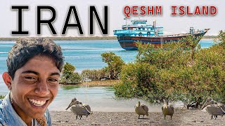 Qeshm Island: A Photographer's Dream in Iran's Persian Gulfجزیره قشم در یک نگاه، خلیج فارس