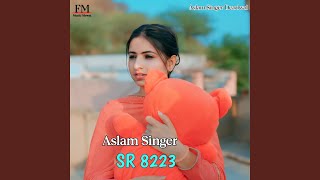 Aslam Singer SR 8223