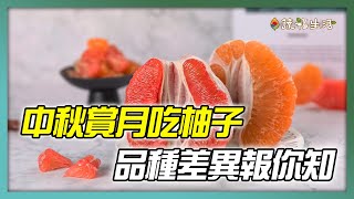 中秋賞月吃柚子　品種差異報你知