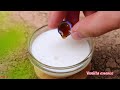 miniature fish masala recipe how to make delicious spicy fish tikka masala curry yummy cooking