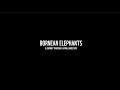 Bornean Elephants - A Journey Through A Living Landscape