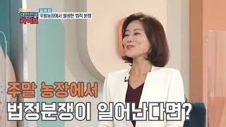 주말농장에서도 법정 분쟁이 일어난다?! [굿모닝 대한민국 라이브] 20200903 KBS 20200903 방송