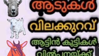 വളർത്താൻ പറ്റിയ നല്ലയിനം ആട്ടിൻകുട്ടികൾ വില്പനയ്ക്ക് , പാത്തത്താറാവ്, കറവപ്പശു,നായക്കുട്ടി ....