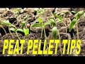 How To Use Peat Pellets To Start Seedlings