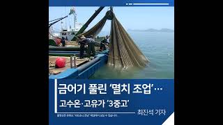 [짧은뉴스] 금어기 풀린 ‘멸치 조업’…고수온·고유가 ‘3중고’ | KBS뉴스 경남 #shorts