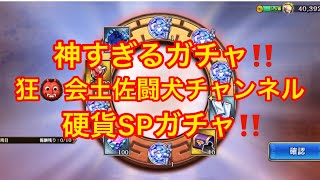 キングダム乱(㊗️5.5周年硬貨SPガチャは神すぎるガチャ‼️渋い‼️)狂👹会土佐闘犬チャンネル