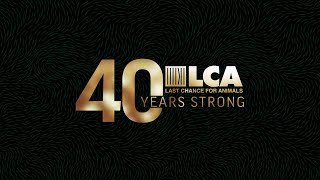 LCA 40 Years Strong (1984 - 2024)