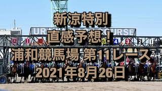 新涼特別 直感予想！ 浦和競馬場 第11レース 2021年8月26日