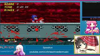 Sonic.exe Normal Ending Speedrun in 9:17
