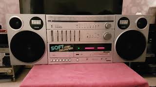 Silver SR 8800L Speaker Transplant - 30 November 2018 (2)