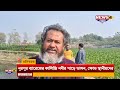 malda erosion news নুরপুর ব্যারেজের কালিন্দ্রি নদীর পাড়ে ভাঙ্গন ক্ষোভ স্থানীয়দের।