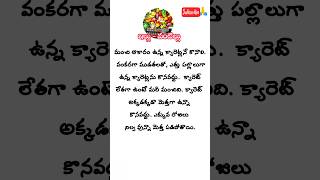 ఇంటి చిట్కాలు #279/#kitchentips #vantintichitkalu #telugutips #chitkalu #tips #dailyshorts