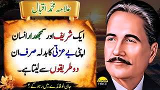 2 Most Powerful Ways to Respond When Someone Insults You | Allama Iqbal Quotes | Deep Quotes