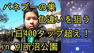 【ポケモンGO】バネブー1日で400タップ超え、色違いはゲットできるのか！？ in 別所沼公園