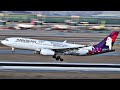 2023 AIRBUS A330 TAKEOFFS and LANDINGS | Incheon Airport Plane Spotting [ICN/RKSI]