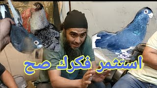 حمامك لا يقدر بثمن