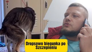 Efekt uboczny po Szczepieniu Psa