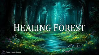 Healing Forest Ambience | 852Hz + 528Hz + 285Hz | Revitalize Spirit \u0026 Cellular Rejuvenation #2