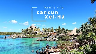 Family trip at Xel-Há, Cancun [칸쿤 셀하파크 가족여행]