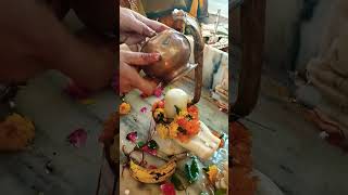 पत्ता डोले पटैया डोले मेरा मनवा डोले ये गुरुजी # viral # हर_हर_महादेव # viralvideo 🕉️🙏🙏||