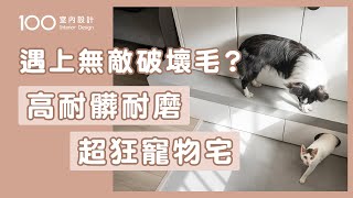 【裝修攻略】讓你家貓狗不再狂滑倒！這種材質超好清｜100室內設計｜遇上無敵破壞毛?高耐髒耐磨超狂寵物宅