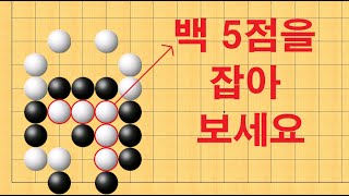 바둑 맥점 사활 - 백 5점을 잡는 기가막힌 묘수는 어디일까요?