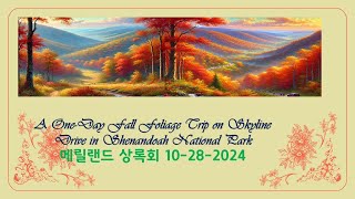 메릴랜드 상록회 세난도 스카이 라인 일일 단풍여행 10-28-2024