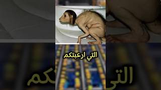 أهانت القران الكريم فشاهد ماذا حدث لها