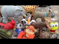 Toy Zoo Wild Animals Toys Collection in the Outdoors