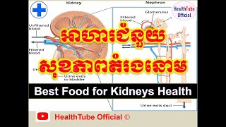 អាហារជំនួយសុខភាព តំរងនោម/Best Food for Kidneys Health l HealthTube Official