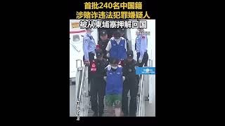 首批240名中国籍涉赌诈违法犯罪嫌疑人被从柬埔寨押解回国🇨🇳🇰🇭