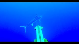 BLUE WATER SPEARFISHING - NEW CALEDONIA - Part 1