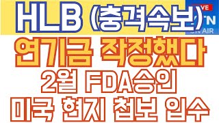 HLB 에이치엘비 매수 매도 주가전망 - 긴급속보) 연기금, 2월 FDA 승인 관련 미국 현지 첩보 입수!