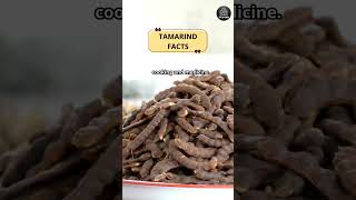 Tamarind Facts #shorts #tamarindfacts #interestingfacts