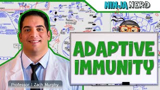 Immunology | Adaptive Immunity