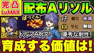 【ドラクエタクト】開幕かばうリソル！火力も出せる超当たり配布A！