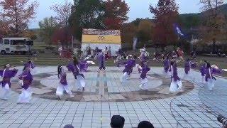 ふくこい連  2015 朝倉よさこい祭り