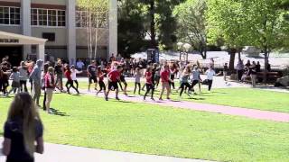 VCS Hairspray Flash Mob