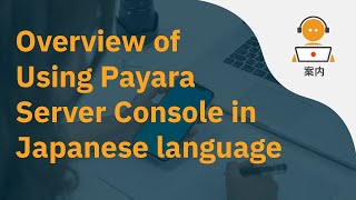 Overview of Using Payara Server Console (Japanese)