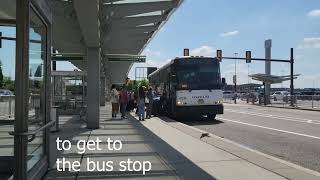 In a minute: Locating Newark Airport Express bus bay at all terminals