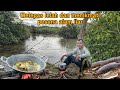 EKSKLUSIF|| spot indah sarangnya ikan mahal